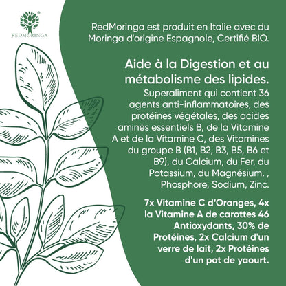 90 Gélules De Moringa Bio | La Seule Moringa Biologique Espagnole Produite En Italie | Véganes Sans Additifs | Super Antioxydant Riche En Vitamines Et Protéines Végétales | Haute Qualité